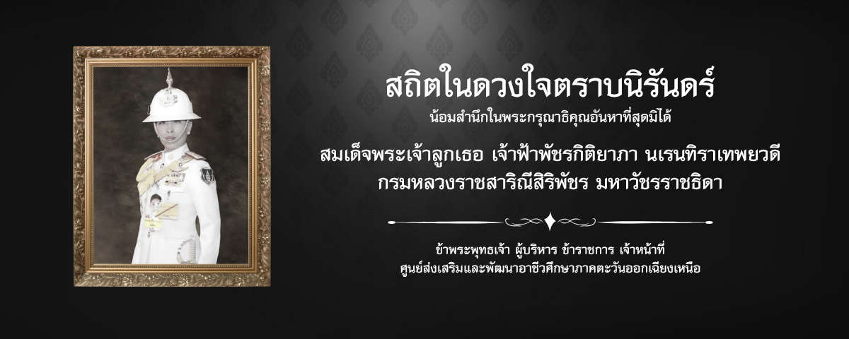 ศูนย์ส่งเสริมและพัฒนาอาชีวศึกษาภาคตะวันออกเฉียงเหนือ